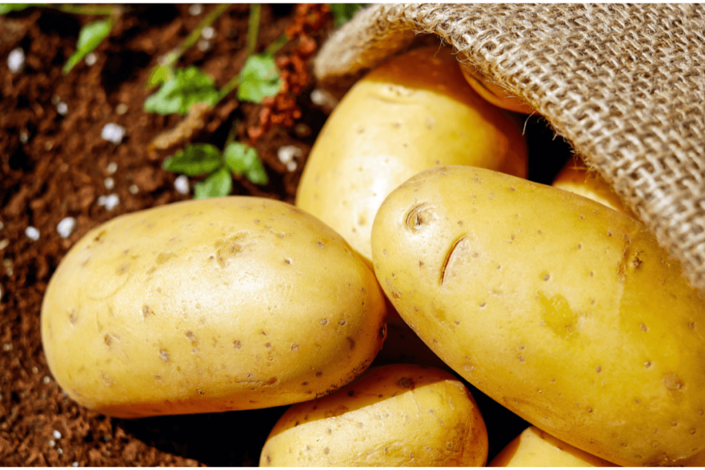 Batatas
Evolução da Gastronomia.