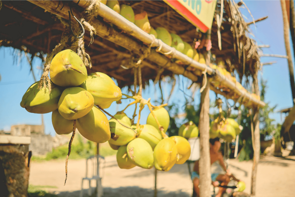 Cocos verdes expostos à venda.
Benefícios do coco verde para a saúde.
