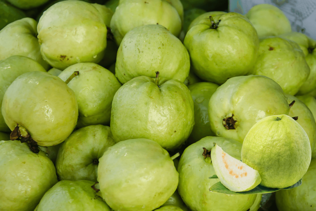 Goiaba: A Fruta Tropical Versátil que Conquista Paladares e Mercados.