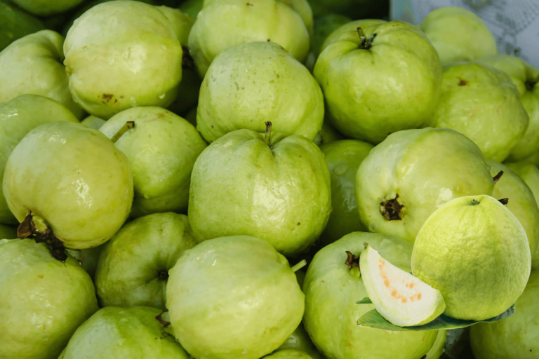 Goiaba: A Fruta Tropical Versátil que Conquista Paladares e Mercados.