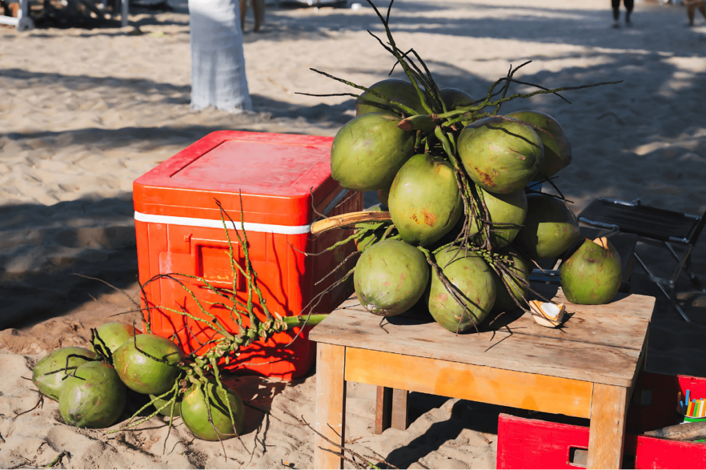 Um monte de cocos verdes para vender na praia.
Benefícios do coco verde para a saúde.