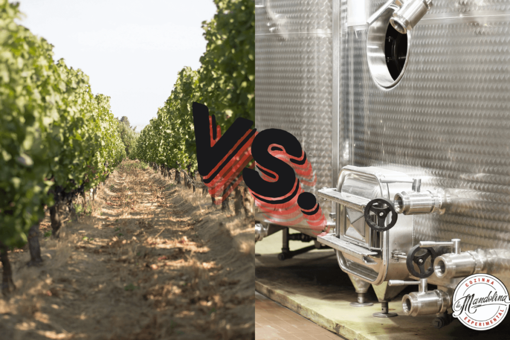 Vinho Orgânico vs Convencional: Qual a diferença?