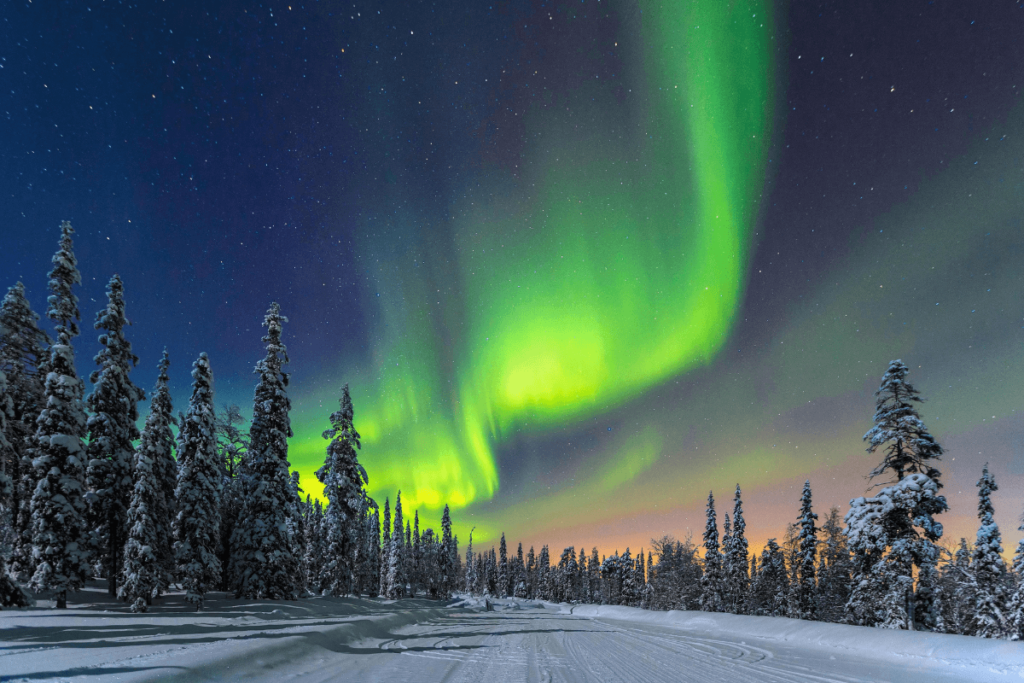 Aurora boreal.
Sanduíche Porilainen Finlandês.