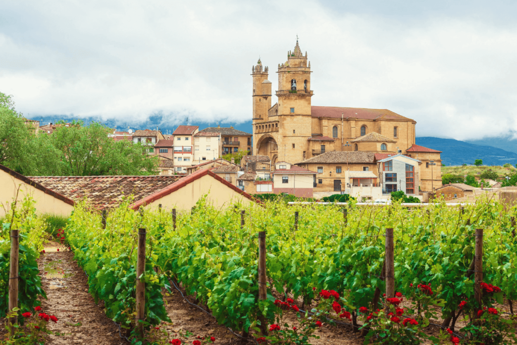 Região vinícola de La Rioja.
Tipos de rosé: guia completo.