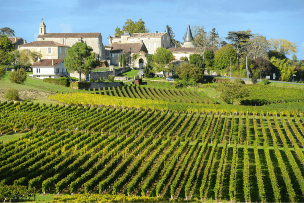 Vinhedos Bordeaux Saint-Emilion.
Tipos de rosé: guia completo.