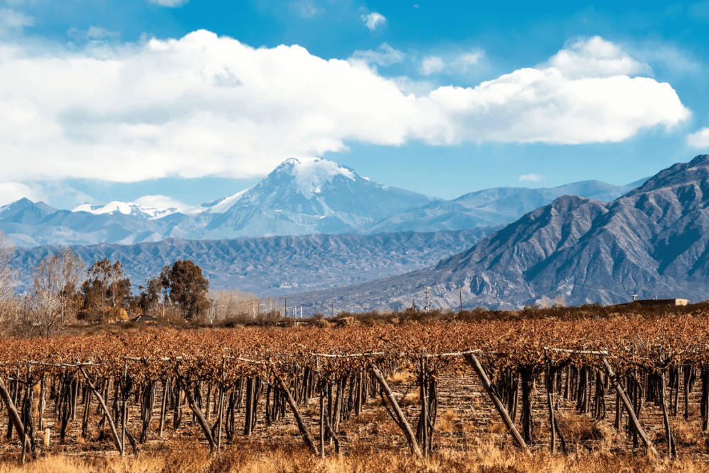 Mendoza_ A Capital do Vinho Argentino – Onde a Magia Acontece
Descobrir vinhos argentinos