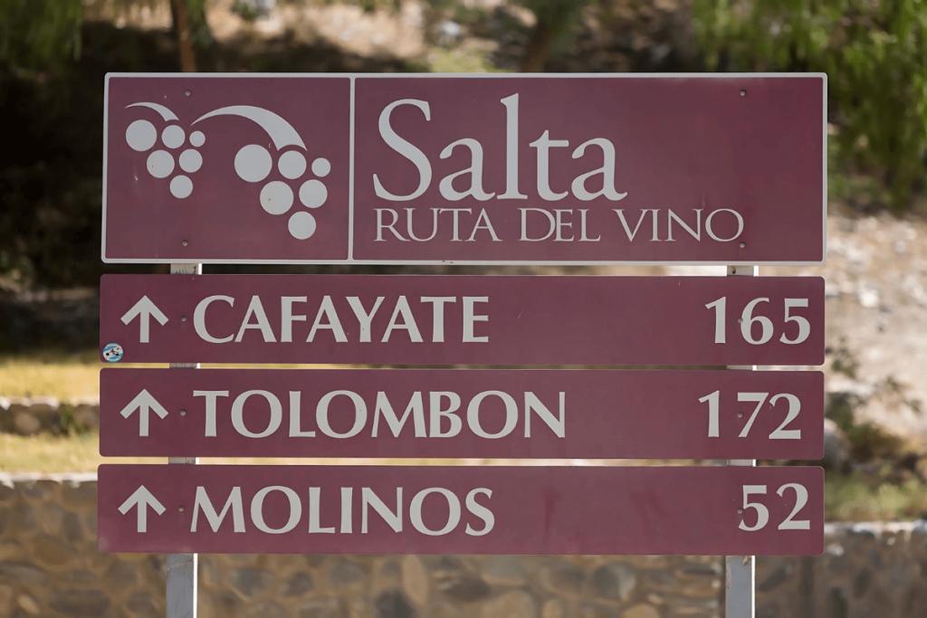 Salta_ Onde os Vinhos Argentinos Tocam o Céu.
Descobrir vinhos argentinos