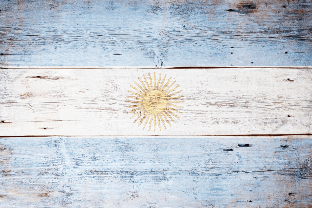 Vinhos da Argentina: Guia Completo das Regiões Vitivinícolas e Turismo do Vinho em Mendoza