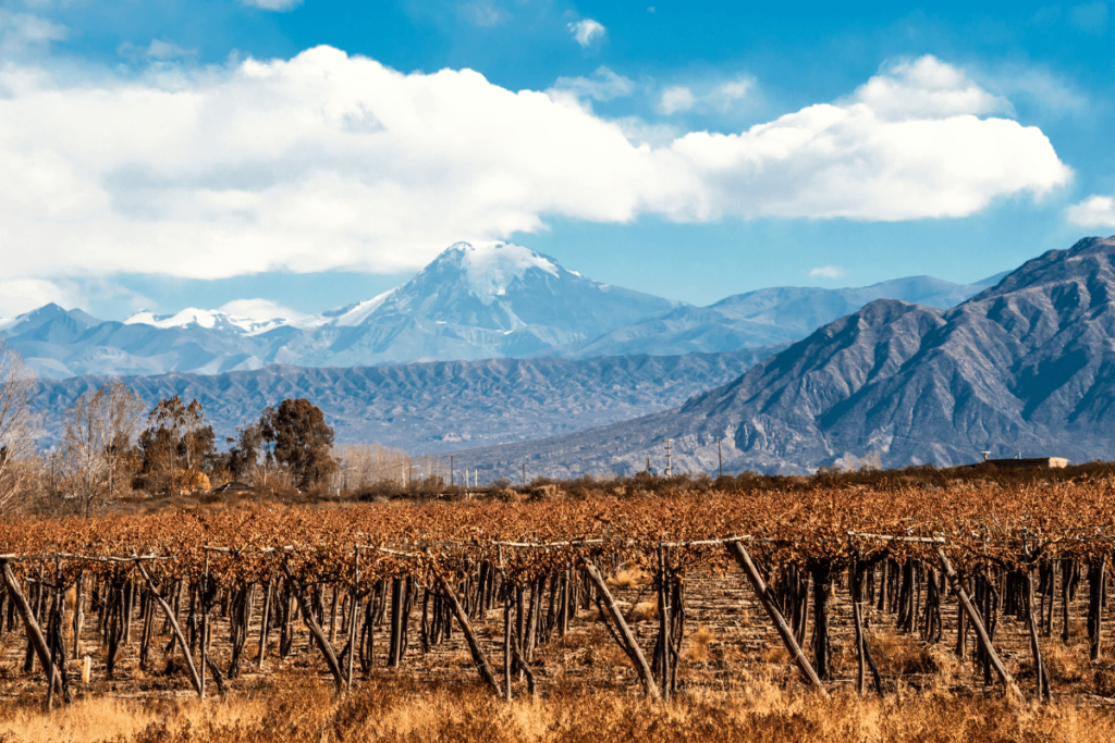 Melhores Vinhos Argentinos: Roteiro Completo nas Vinícolas de Mendoza e Regiões Vitivinícolas da Argentina
