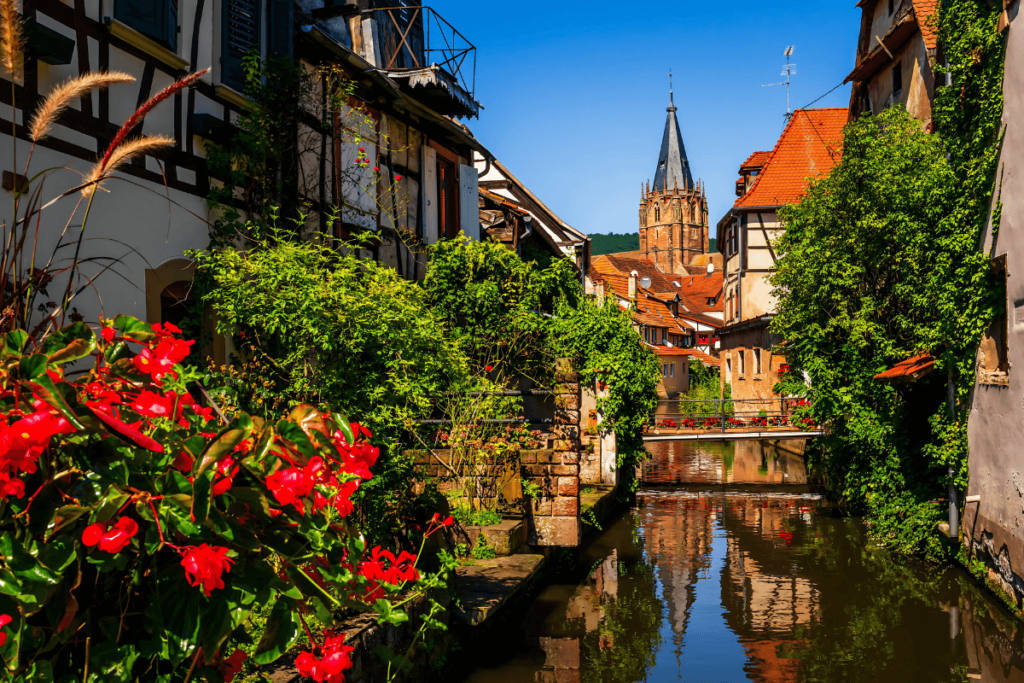 Vista de um canal emoldurado por flores vermelhas e casas de enxaimel em vilarejo alsaciano, com torre de igreja ao fundo, cenário da região dos tipos de uva da Alsácia.