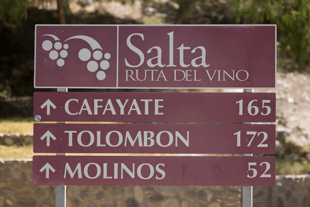 Vinhos Argentinos: Sinalização da 'Salta Ruta del Vino', essencial para o Guia de Vinhos Argentinos na região de Salta.