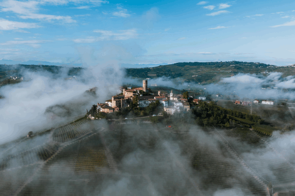 Fotografia das colinas de vinhedos do Piemonte cobertas por neblina numa manhã fria, mostrando o terroir único do vinho do Piemonte.
